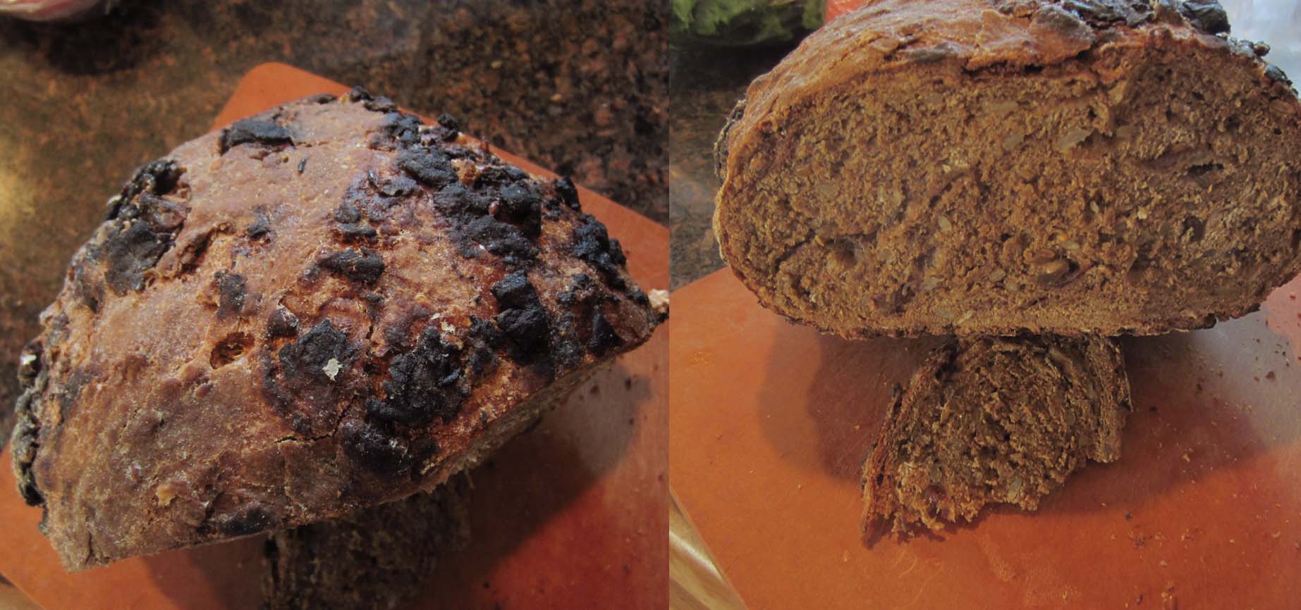 Getting whole Wheat bread to rise? The Fresh Loaf